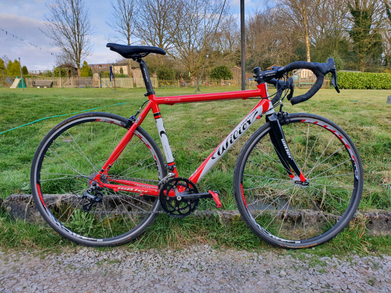 wilier triestina lavaredo